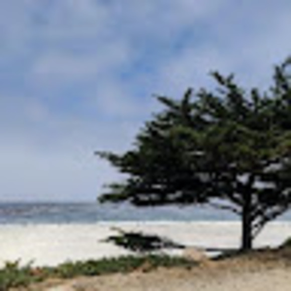 Meet your Posher, Sarah - Picture 1 of 1